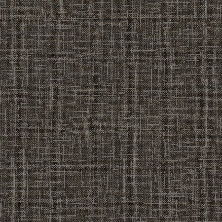 DUTCH WALLCOVERINGS Papier peint Motif de fil Noir