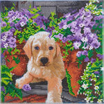 CRYSTAL ART Kit tableau broderie diamant 30x30cm Chien et fleurs