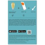 Ledvance ampoule smart+ bluetooth edison fil or  53w e27 puissance variable