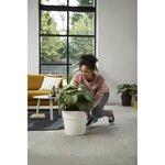 B.for Original Rond Roues 35 ocre