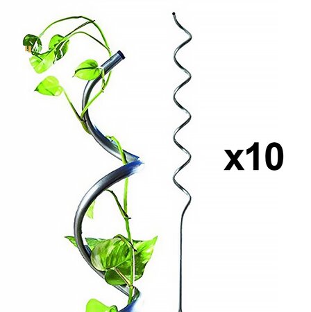 Lot de 10 tuteurs spirales pour tomates - En acier - Hauteur : 180 cm