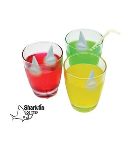 Glaçons - requin