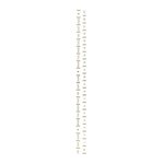 2 masking tapes fins date - doré