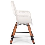 CHILDHOME Chaise haute avec pare-chocs 2-en-1 Evolu 2 Transparent