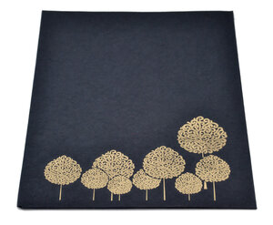 PAPERTREE ARANIA Lot de 5 Pochettes (A4) Noir