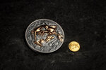 Pièce de monnaie en Or 1000 Togrog g 0.5 Millésime 2023 Evolution of Life GOLDEN NIMRAVIDAE