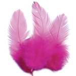 Pume de coq Rose vif 10 cm 3g