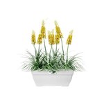 ELHO Bac a terrasse Vibia 80 - Blanc - Extérieur - L 34,2 x W 77,4 x H 33,2 cm