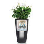 LECHUZA Jardinière Rondo 32 ALL-IN-ONE Charbon métallique 15783