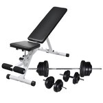 vidaXL Banc d'entraînement avec jeu d'haltères et de disques de poids 60 5 kg
