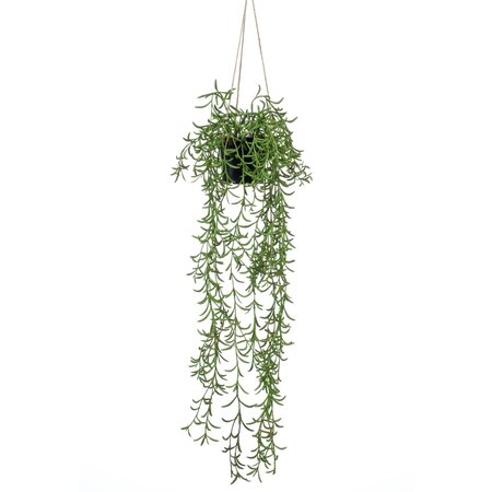 Emerald Buisson suspendu senecio artificiel en pot 70 cm