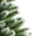 vidaXL Sapin de Noël artificiel à charnières avec neige floquée 150 cm