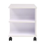 vidaXL Étagère à roulettes 50 x 35 x 42 cm Blanc