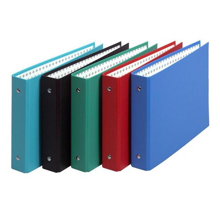 Classeur 2 anneaux 24 x 16cm pour fiches bristol 125x200 / a5  couleur aléatoire exacompta