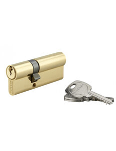 THIRARD - Cylindre de serrure double entrée STD UNIKEY (achetez-en plusieurs ouvrez avec la même clé) 30x50mm 3 clés laiton