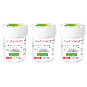 Colorant alimentaire en poudre 15 g - vert