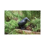 Epouvantail corbeau pour éloigner les pigeons