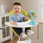La grande roue des baby loulous