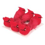 Oiseaux Rouges sur Pince 7x4 5x3 5 cm 6 pièces