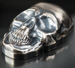 Pièce de monnaie en Argent 25 Dollars g 500 Millésime 2017 Skull Series BIG SKULL
