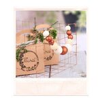 Rouleau Grillage Cuivré 35 cm x 5m