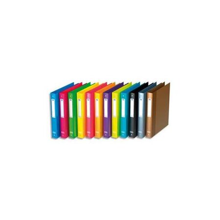 Classeur 4 anneaux SCHOOL LIFE rembordé carte, format A4+, dos de 4 cm, assortis ELBA