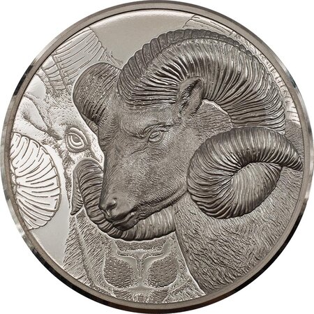 Pièce de monnaie en Platine 25000 Togrog g 31.1 (1 oz) Millésime 2022 Wild Mongolia MAGNIFICENT ARGALI