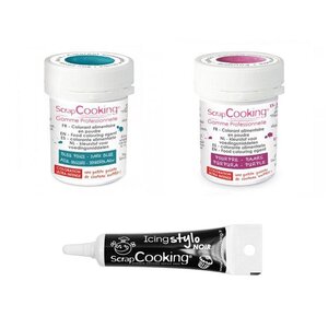 2 colorants alimentaires pourpre-bleu foncé + Stylo glaçage noir
