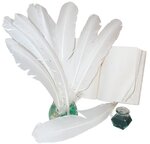 Plumes indiennes pour activités manuelles enfant 10 plumes blanches