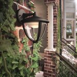 Robin - applique d'extérieur descendante led h23cm noir philips