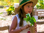 SMARTBOX - Coffret Cadeau 6 mois d'abonnement à une box jardinage pour enfant -  Sport & Aventure