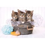 Clementoni - 29109 - SuperColor 180 pieces - Lovely Kittens