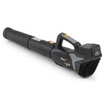 Alpina Souffleur a batterie 20V - ABL 20 Li Kit
