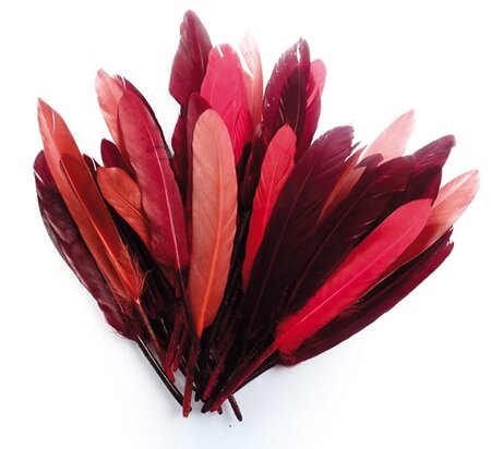 Plumes d'indien pour activités enfant Camaieu rouge 15cm