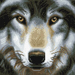 Tableau Broderie Diamant Crystal Art 30x30cm Loup