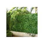 Haie artificielle jeunes feuilles de lierre en rouleau 1 x 3 m