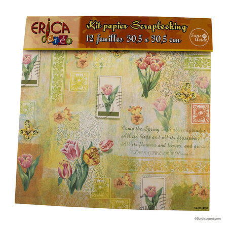 Kit papier 30x30cm scrapbooking 12 feuilles - erica