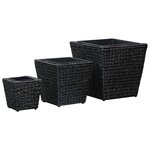 vidaXL Lits surélevés de jardin 3 Pièces Jacinthe d'eau Noir