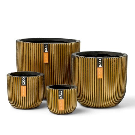 Capi Ensemble de jardinière 4 Pièces Groove Doré