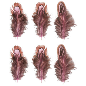 Plumes rose oeillet / brun 5 - 10cm 6 pces