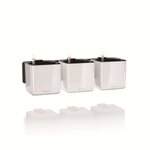 LECHUZA 3 Pièces Jardinières Green Wall Home Kit Blanc brillant