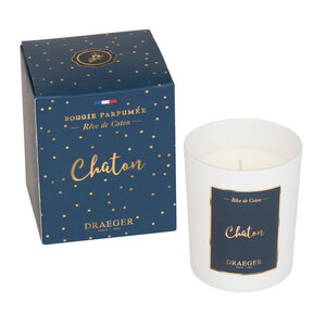 Bougie Cadeau - Chaton - Draeger paris