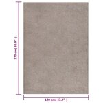 vidaXL Tapis shaggy à poils longs Beige 120x170 cm