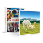 SMARTBOX - Coffret Cadeau Découverte des animaux -  Multi-thèmes
