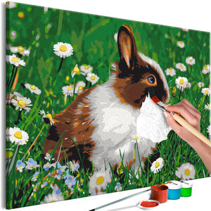 Tableau à peindre par soi-même - rabbit in the meadow l x h en cm 60x40
