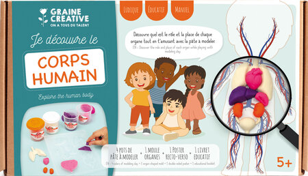 Kit moulage educatif anatomie