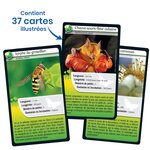 Défis nature abeilles et autres pollinisateurs