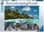 Puzzle Adultes Une plongee aux Maldives - 2000 Pièces