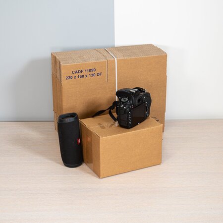 Lot de 20 caisses carton 22x16x13cm