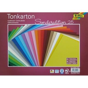 Papier cartonné 35x25 cm 220g 25 couleurs assorties